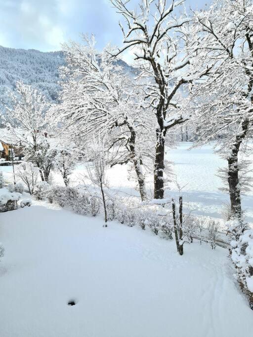 Appartement Le D12 Samoëns Eksteriør bilde